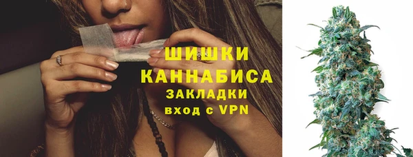 PSILOCYBIN Козловка