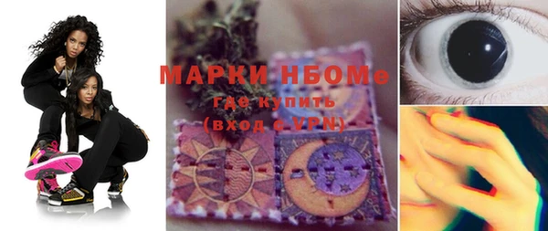 шишки Козельск