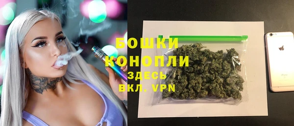 PSILOCYBIN Козловка