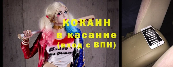 шишки Козельск