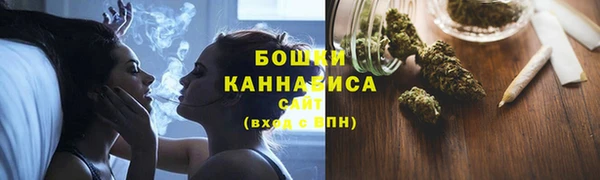 шишки Козельск