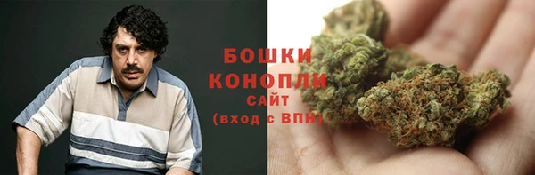 шишки Козельск