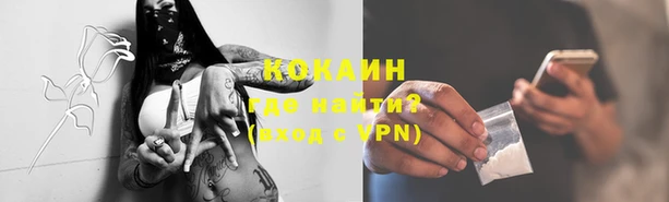 шишки Козельск