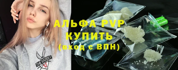 шишки Козельск