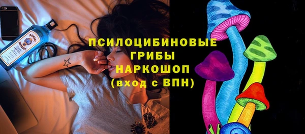 PSILOCYBIN Козловка